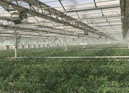 智能水肥一體化管理系統(tǒng)