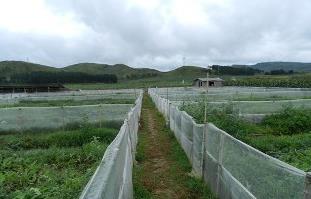 肇慶智能農(nóng)業(yè)氣象站