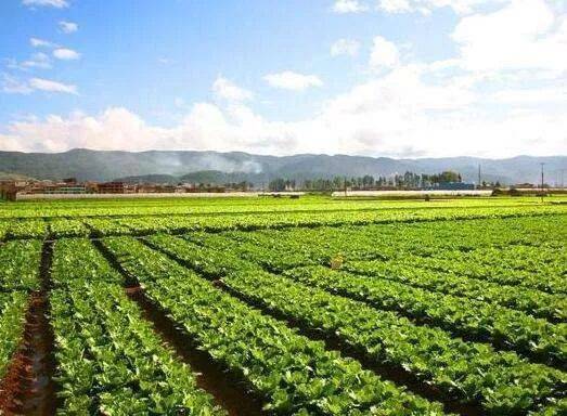 農(nóng)業(yè)種植管理軟件