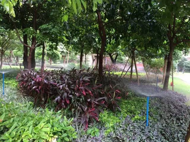 智能自動化噴灌系統(tǒng)